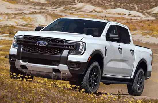 ford truck pawn