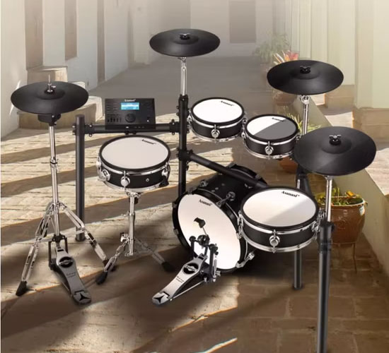 Professional Drum Pawns