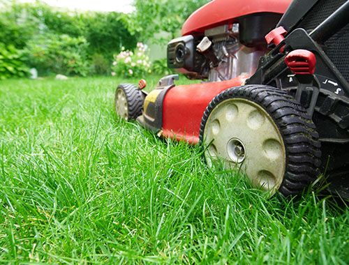 Lawn Mower Pawn Process