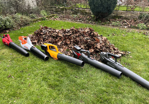 Leaf Blower Pawn Process