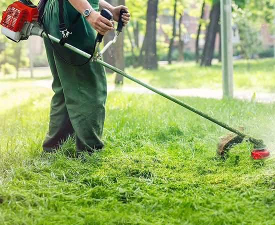 pawn weed trimmer arkadelphia