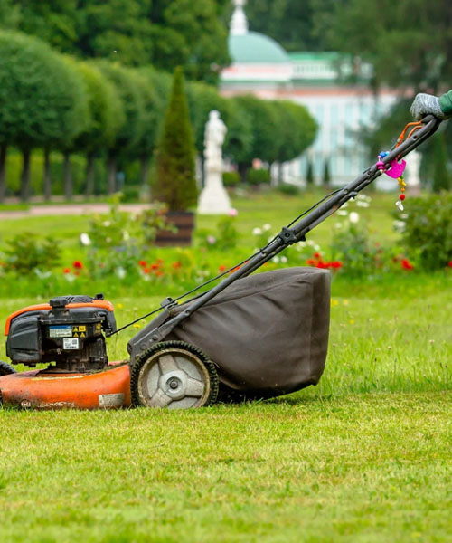 push walk lawn mower