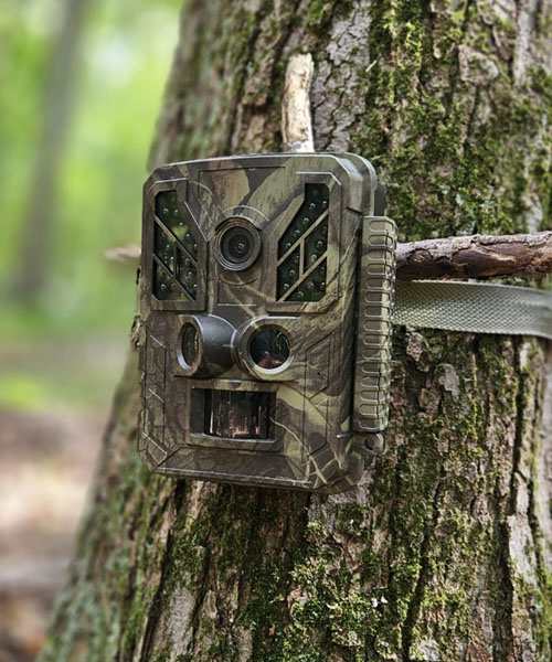 Hunting Trail Cameras