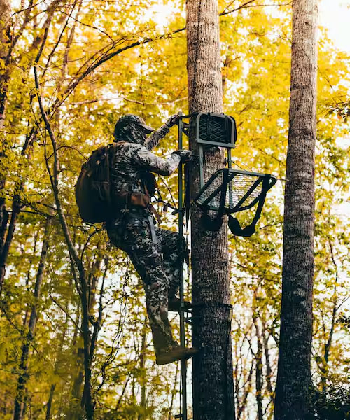 hunting treestand
