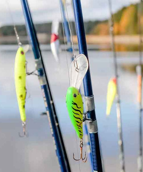 lure collection
