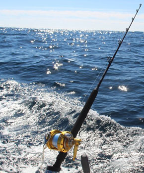 saltwater fishing rod
